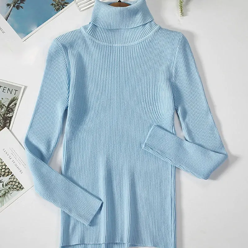 Helia Turtleneck Sweater with Cashmere