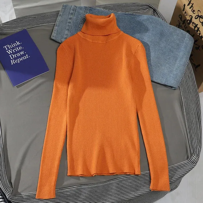 Helia Turtleneck Sweater with Cashmere