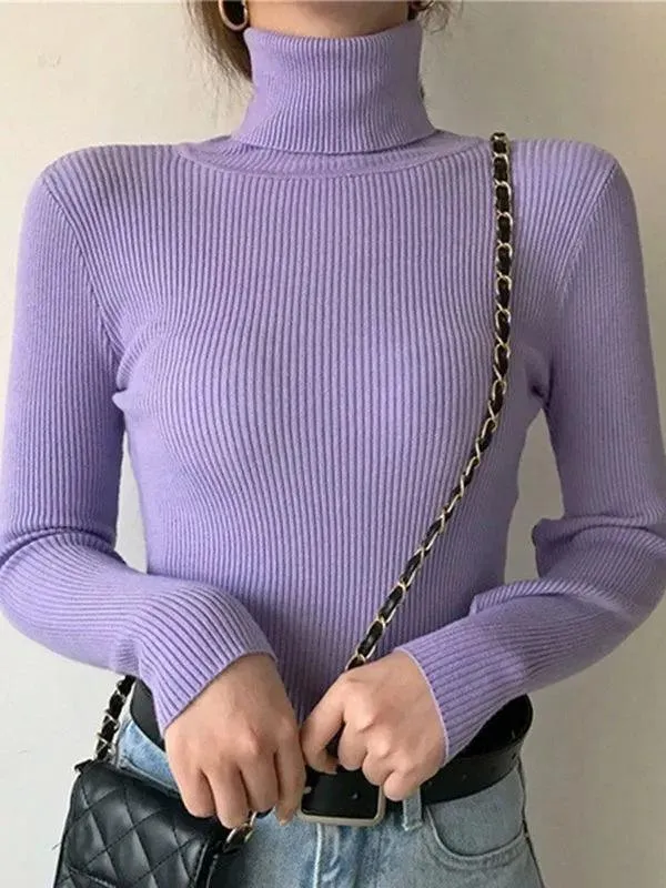 Helia Turtleneck Sweater with Cashmere
