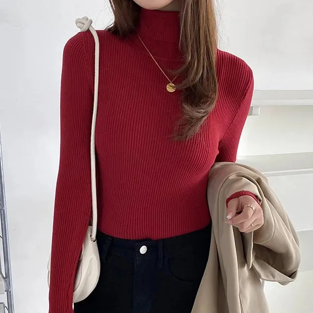 Helia Turtleneck Sweater with Cashmere