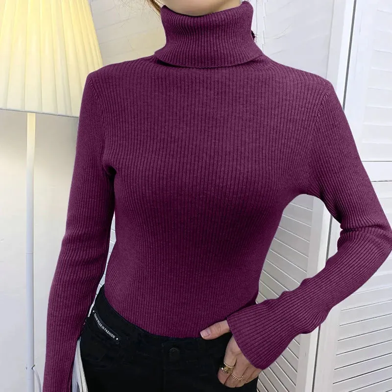 Helia Turtleneck Sweater with Cashmere