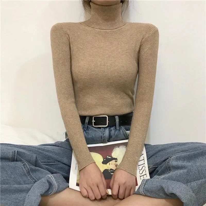 Helia Turtleneck Sweater with Cashmere