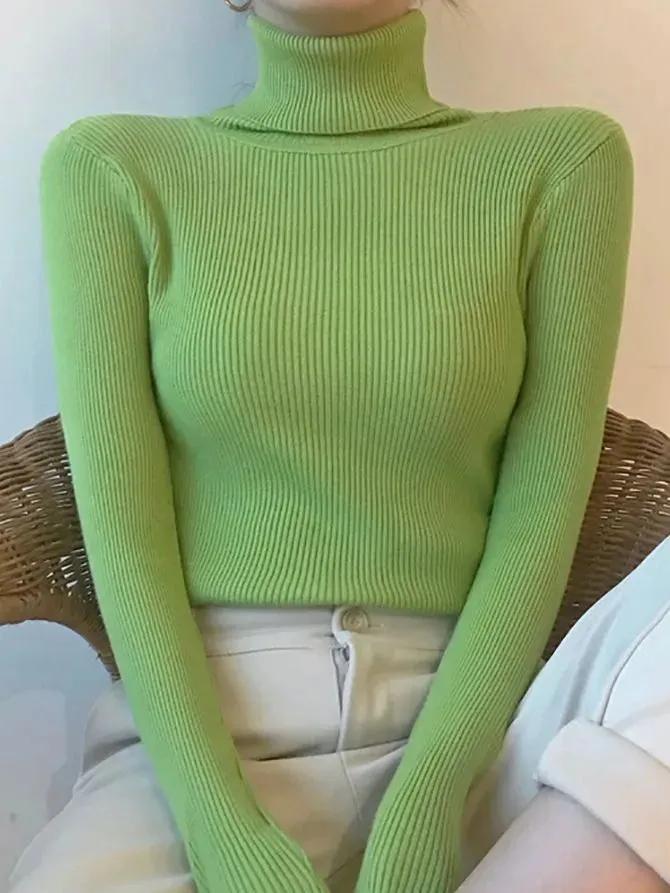 Helia Turtleneck Sweater with Cashmere