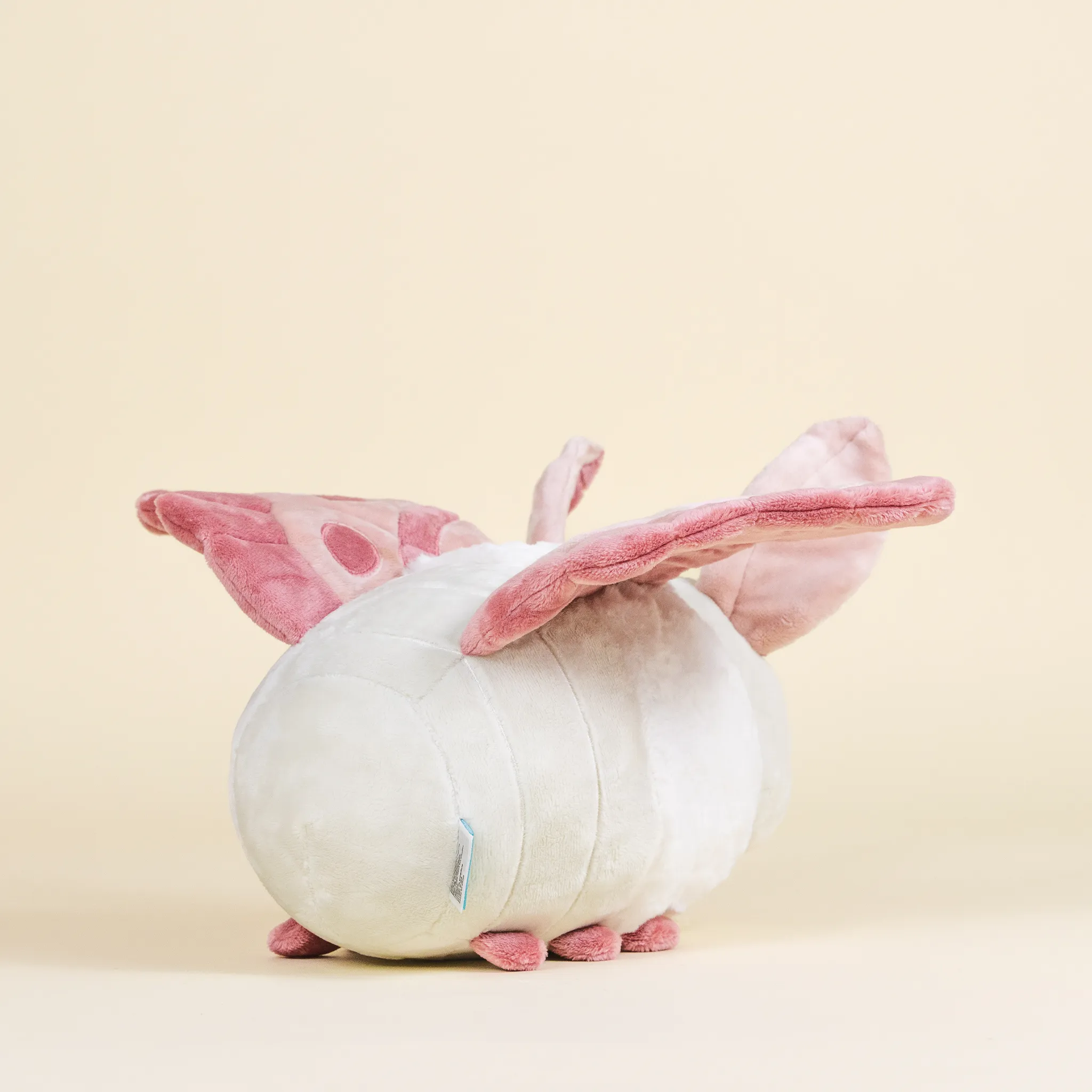 Mothi the Moth