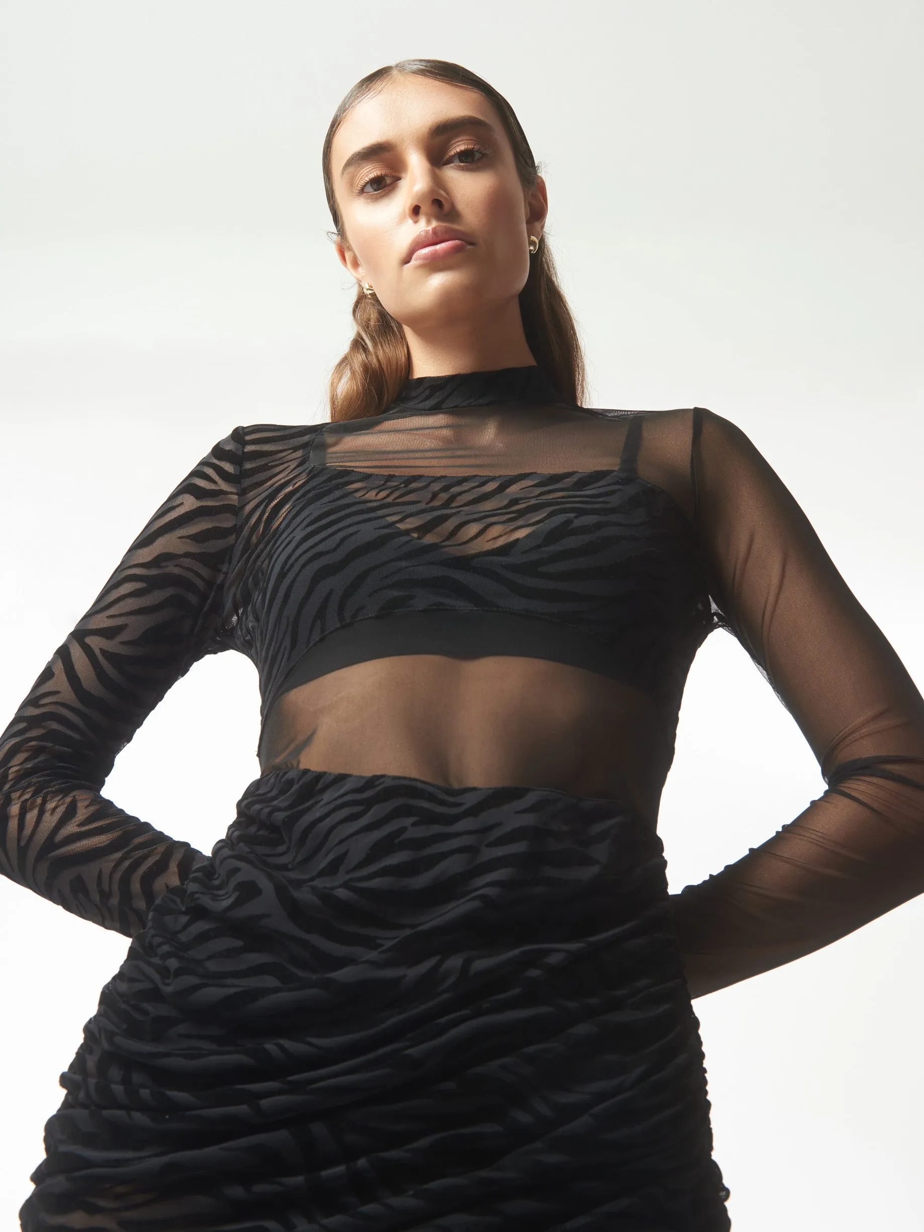 Zebra Pattern Sheer Mesh Illusion Mini Dress in Black